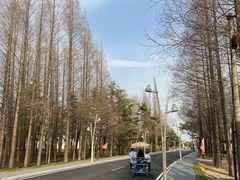 -日照灯塔风景区