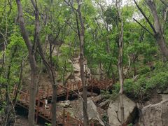-大岭沟猕猴桃谷风景区