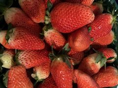 -胖子鱼·天水麻辣鱼火锅(秦州407店)