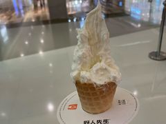 -野人先生现做冰淇淋(北京王府井东方新天地店)