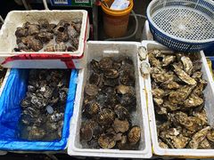 -众彩物流水产市场