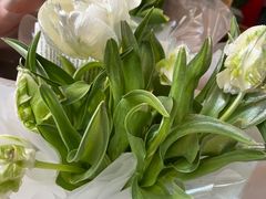 -循礼门鲜花花市(武汉循礼门店)