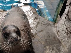 -成都浩海立方海洋公园