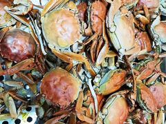 -金狮国际酒店自助餐(金狮店)