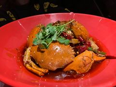 -红辣椒·川菜·火锅(张杨路店)