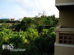 -三亚亚龙湾凯莱仙人掌度假酒店