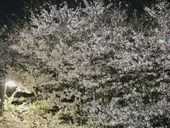 -良渚文化村