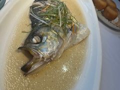 白鱼-天福苑(崇宁路店)