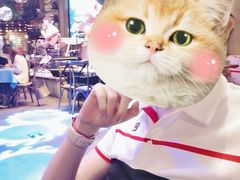 -胡桃里音乐酒馆(四道口店)