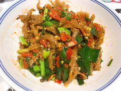 -壹盏灯(惠农店)