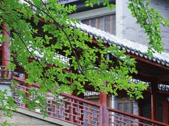 -龙潭水乡