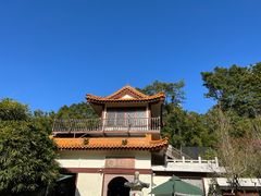 -深圳仙湖植物园