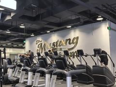 -TMG潮流健身(奥体莲荷里店)