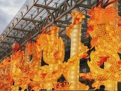 -武汉园博园(武汉自然博物馆)