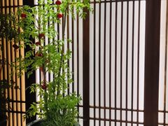 -康逸居·始于2002(海安店)
