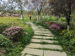 -秀丽东方
