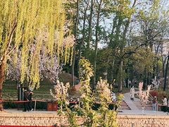 -海棠花溪(元大都城垣遗址公园)