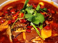 毛血旺-川堂风·跷脚牛肉·乐山爆炒(宝山日月光店)