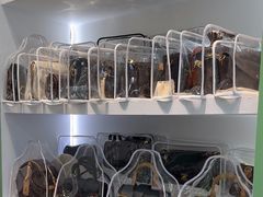 -海星奢选二手奢侈品手表包包鉴定回收寄卖(墨玉南路店)