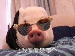 -陇上全荟兰州传统牛肉面(延吉路店)