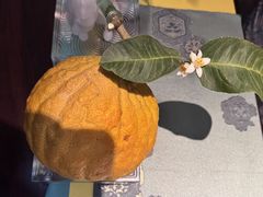 -王府茶楼茶宴·创意菜(朝阳公园店)