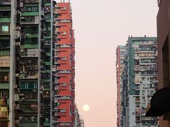 -凤城康记饭店