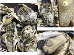 -飞尝蚝·顺德菜·鱼生(顺德总店)