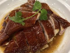 -永記粤菜·五指毛桃花雕鸡煲(九亭店)