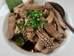 -梧桐