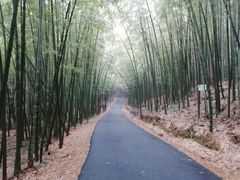-苏州环秀晓筑养生度假村