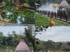 -美的鹭湖森林度假区