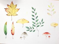 -八哥美术·成人美术画室(总校区)
