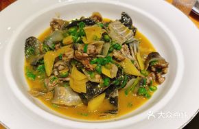 Stewed Softshell Turtle