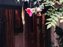 -斯多格书乡(北京大学畅春园店)