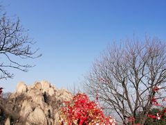-嵖岈山风景区
