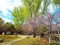 -钓鱼台国宾馆