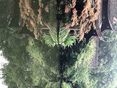 -乾园.魏庐湖景餐厅(花港店)