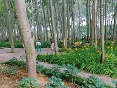 -仁和公园(顺义区)