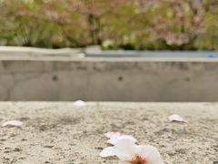 -龙美术馆西岸馆-停车场