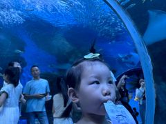 -海合安成都极地海洋公园