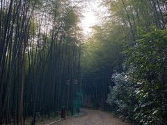-苏州环秀晓筑养生度假村