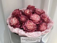 -淘花源花艺鲜花店 开业花篮 绿植(南部商务区店)