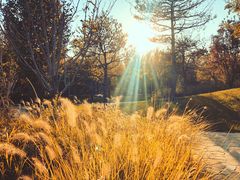 -武清南湖绿博园