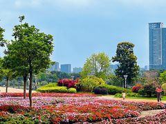 -文华公园(禅城区)