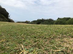 -鹅銮鼻公园