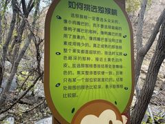 -大岭沟猕猴桃谷风景区