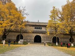 -灵谷景区