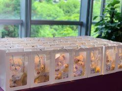 -广州富力君悦大酒店·宴会厅