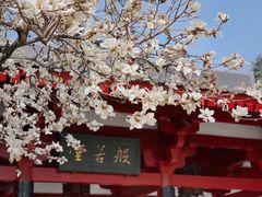 -大慈恩寺(大雁塔)