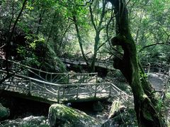 -夏霖九天银瀑风景区